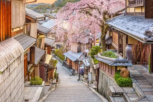Frühling in Kyoto, Japan