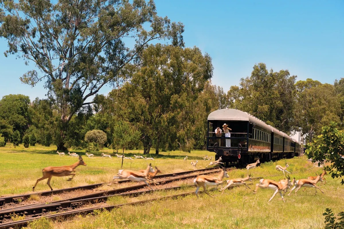 Luxuszug Rovos Rail