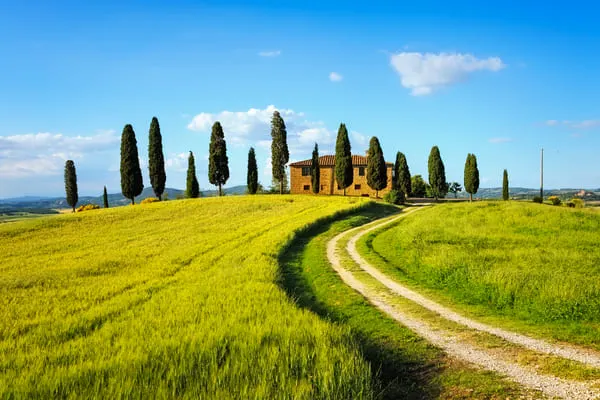 Tuscan farm with cypresses